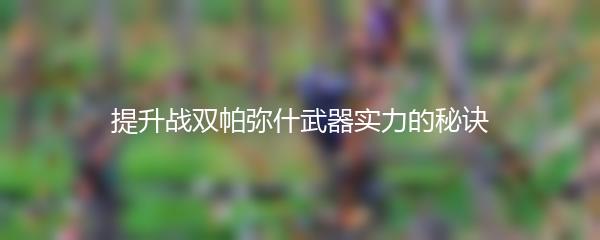 提升战双帕弥什武器实力的秘诀