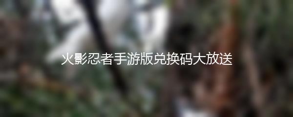 火影忍者手游版兑换码大放送