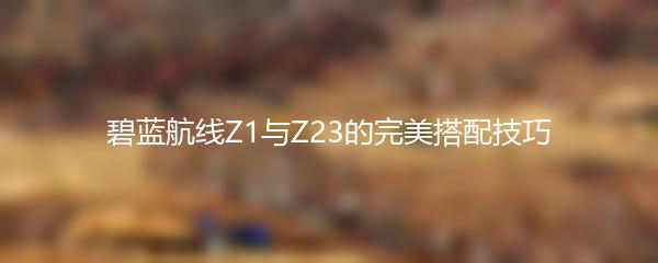 碧蓝航线Z1与Z23的完美搭配技巧