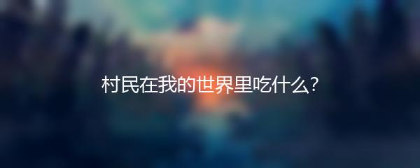 村民在我的世界里吃什么？