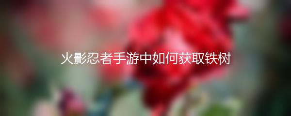 火影忍者手游中如何获取铁树