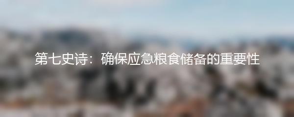 第七史诗：确保应急粮食储备的重要性