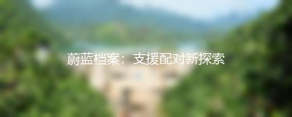 蔚蓝档案：支援配对新探索