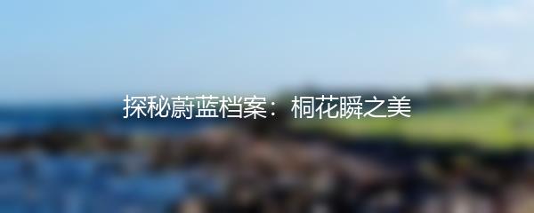 探秘蔚蓝档案：桐花瞬之美