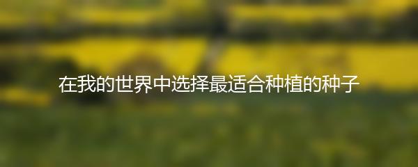 在我的世界中选择最适合种植的种子