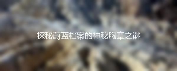 探秘蔚蓝档案的神秘胸章之谜