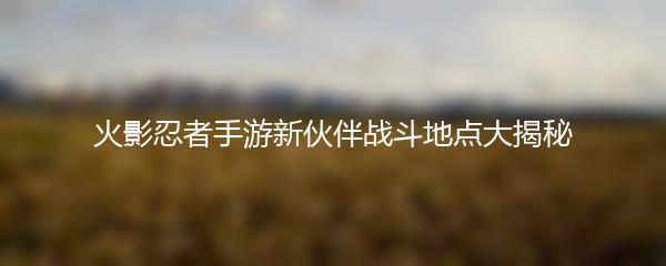 火影忍者手游新伙伴战斗地点大揭秘