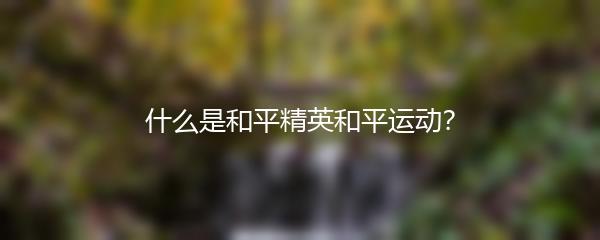 什么是和平精英和平运动？