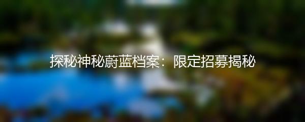 探秘神秘蔚蓝档案：限定招募揭秘