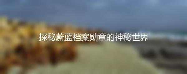 探秘蔚蓝档案勋章的神秘世界