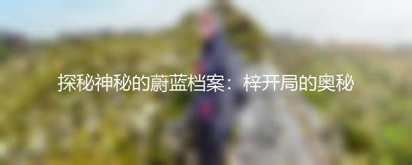 探秘神秘的蔚蓝档案：梓开局的奥秘