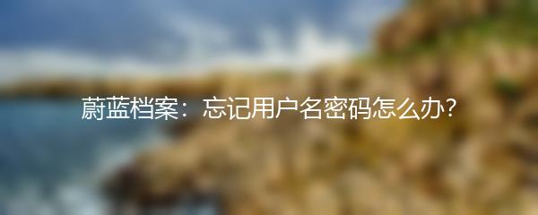 蔚蓝档案：忘记用户名密码怎么办？
