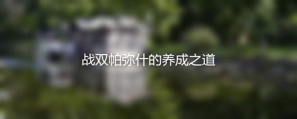 战双帕弥什的养成之道