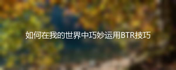 如何在我的世界中巧妙运用BTR技巧