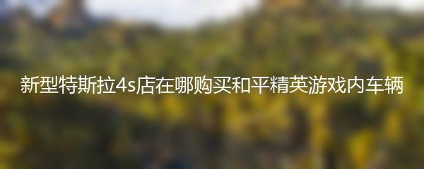 新型特斯拉4s店在哪购买和平精英游戏内车辆