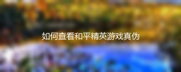 如何查看和平精英游戏真伪
