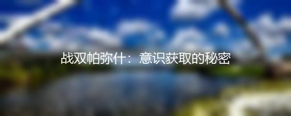 战双帕弥什：意识获取的秘密