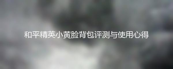 和平精英小黄脸背包评测与使用心得