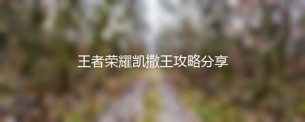 王者荣耀凯撒王攻略分享