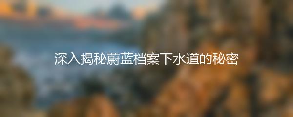 深入揭秘蔚蓝档案下水道的秘密