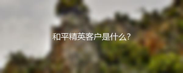和平精英客户是什么？