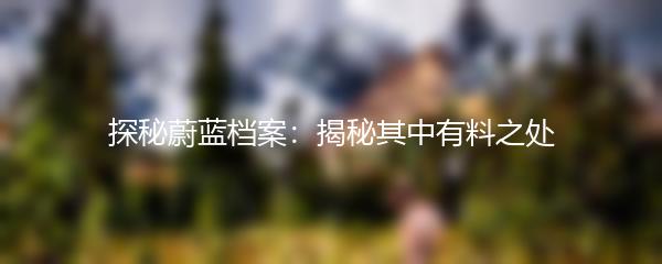 探秘蔚蓝档案：揭秘其中有料之处