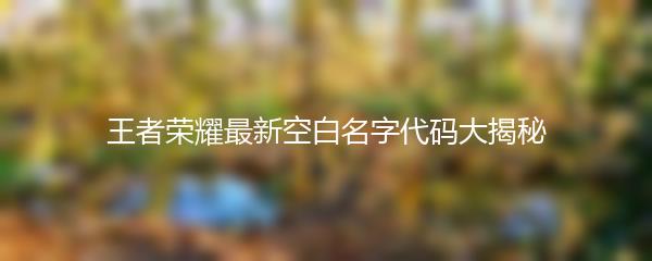 王者荣耀最新空白名字代码大揭秘