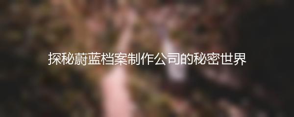 探秘蔚蓝档案制作公司的秘密世界