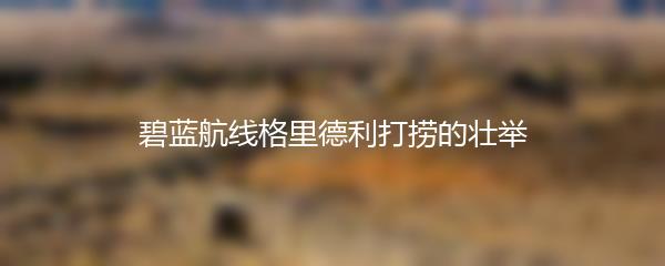 碧蓝航线格里德利打捞的壮举