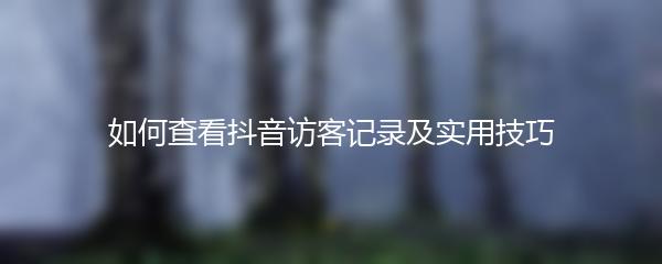 如何查看抖音访客记录及实用技巧