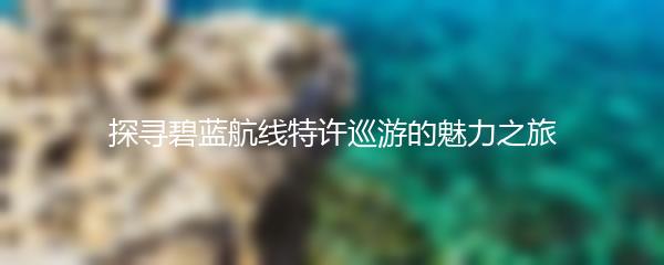 探寻碧蓝航线特许巡游的魅力之旅