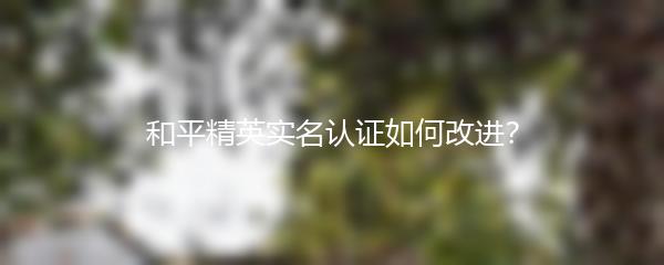 和平精英实名认证如何改进？