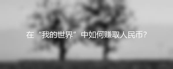 在“我的世界”中如何赚取人民币？