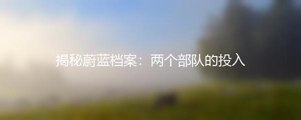揭秘蔚蓝档案：两个部队的投入