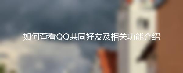 如何查看QQ共同好友及相关功能介绍