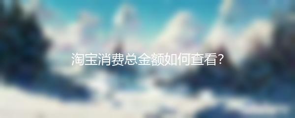 淘宝消费总金额如何查看？