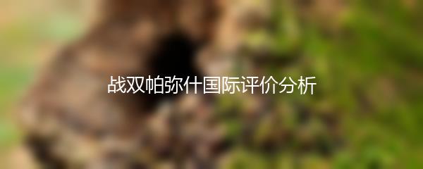 战双帕弥什国际评价分析