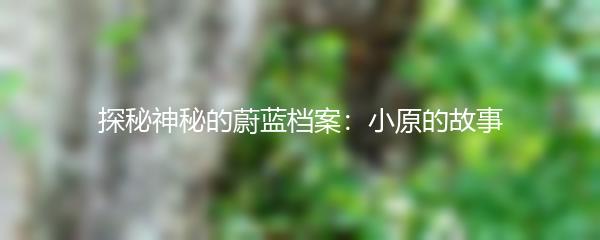 探秘神秘的蔚蓝档案：小原的故事