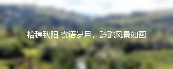 拾穗秋阳 寄语岁月，醉酡风景如画