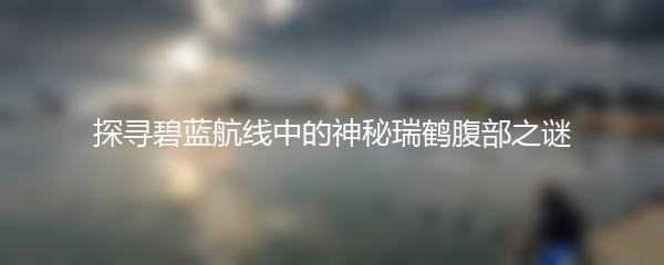 探寻碧蓝航线中的神秘瑞鹤腹部之谜