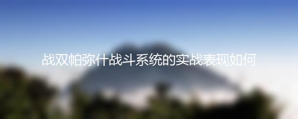 战双帕弥什战斗系统的实战表现如何