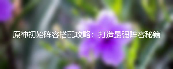 原神初始阵容搭配攻略：打造最强阵容秘籍