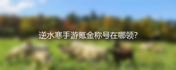 逆水寒手游氪金称号在哪领？