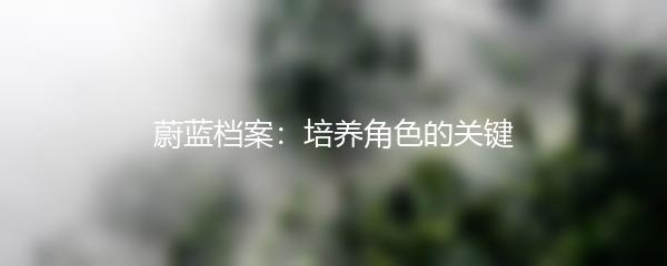 蔚蓝档案：培养角色的关键