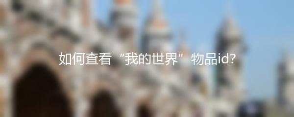 如何查看“我的世界”物品id？