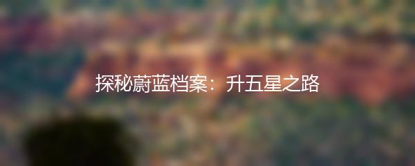 探秘蔚蓝档案：升五星之路