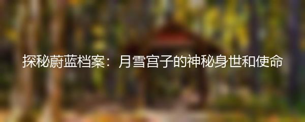 探秘蔚蓝档案：月雪宫子的神秘身世和使命