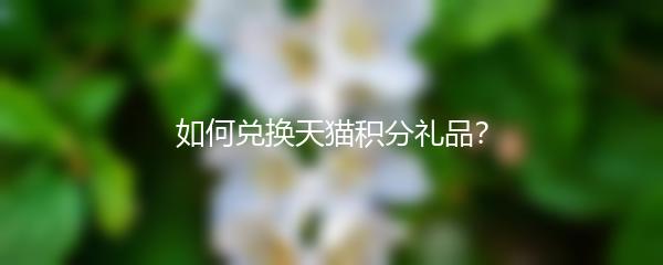 如何兑换天猫积分礼品？