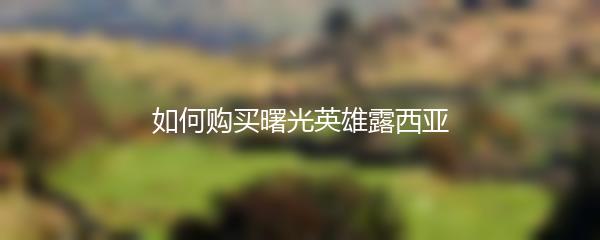 如何购买曙光英雄露西亚