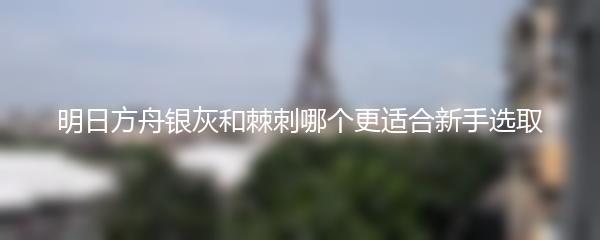 明日方舟银灰和棘刺哪个更适合新手选取
